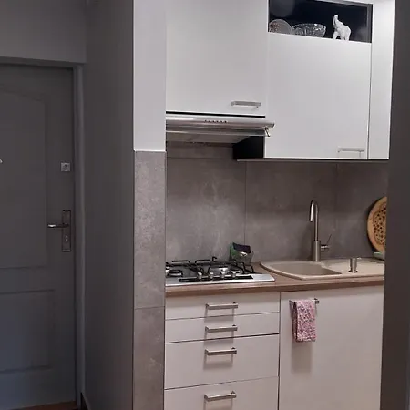 Apartment Centrum Slowapart *